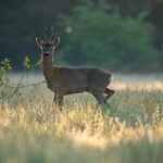 Invoice Factoring Company Near Me