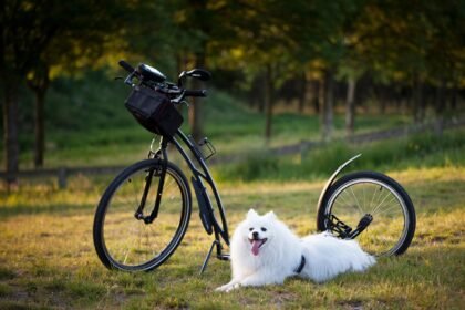 LMS for Training Companies