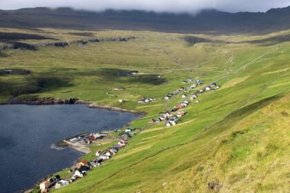 Structured Settlement Buyer