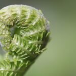 cost of living tips UK 2026